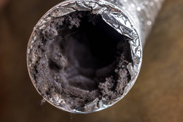 Best Commercial Air Duct Cleaning  in Lake Mack Forest Hills, FL